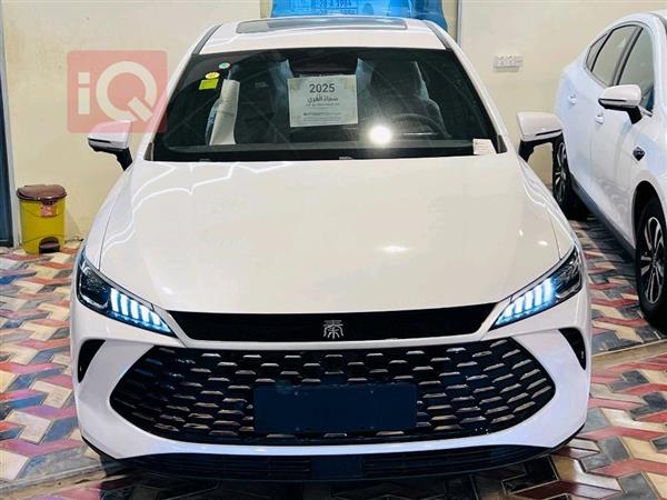 بي واي دي Qin Plus 2025 للبيع في العراق - النجف